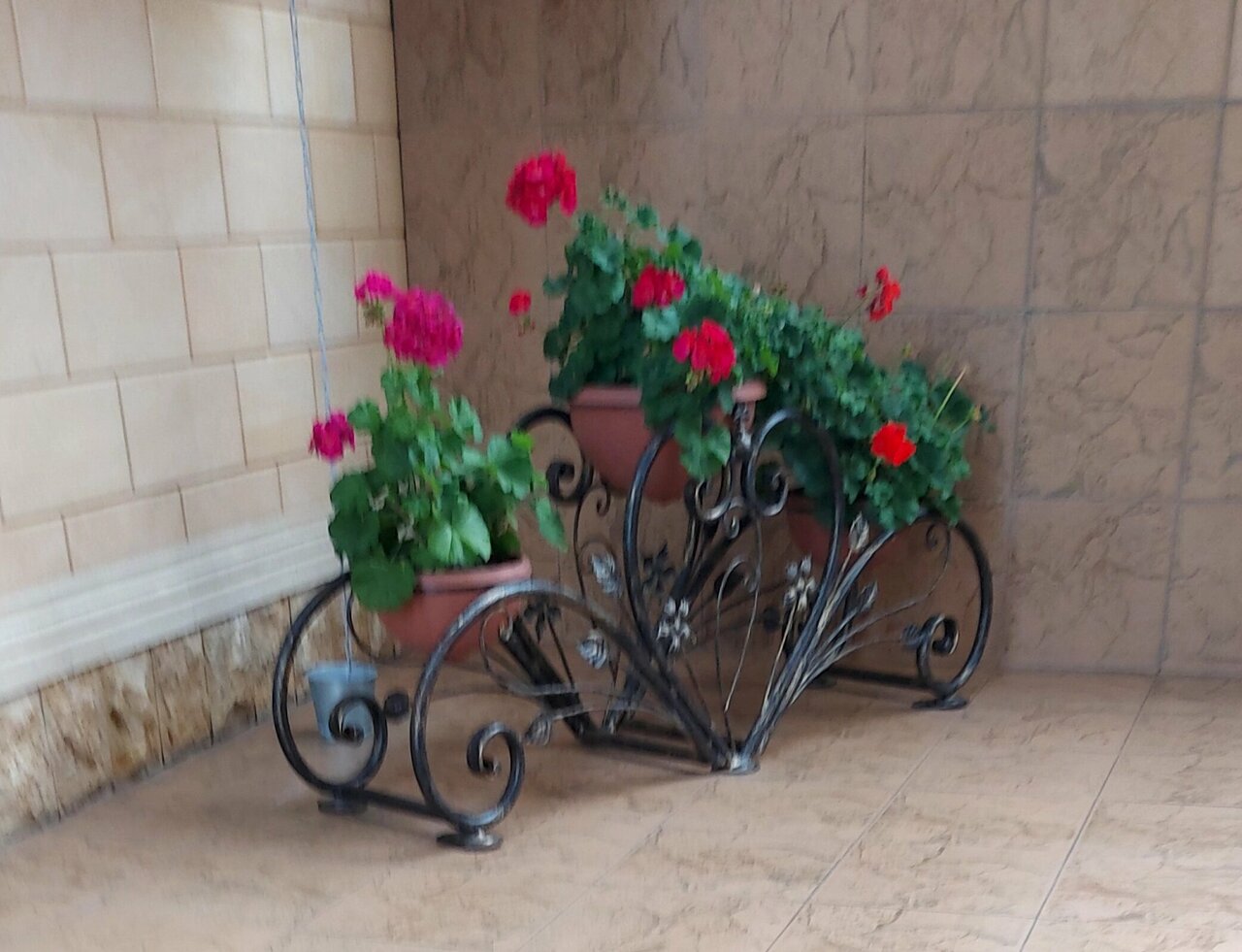 Гостевой дом Парус Головинка-32