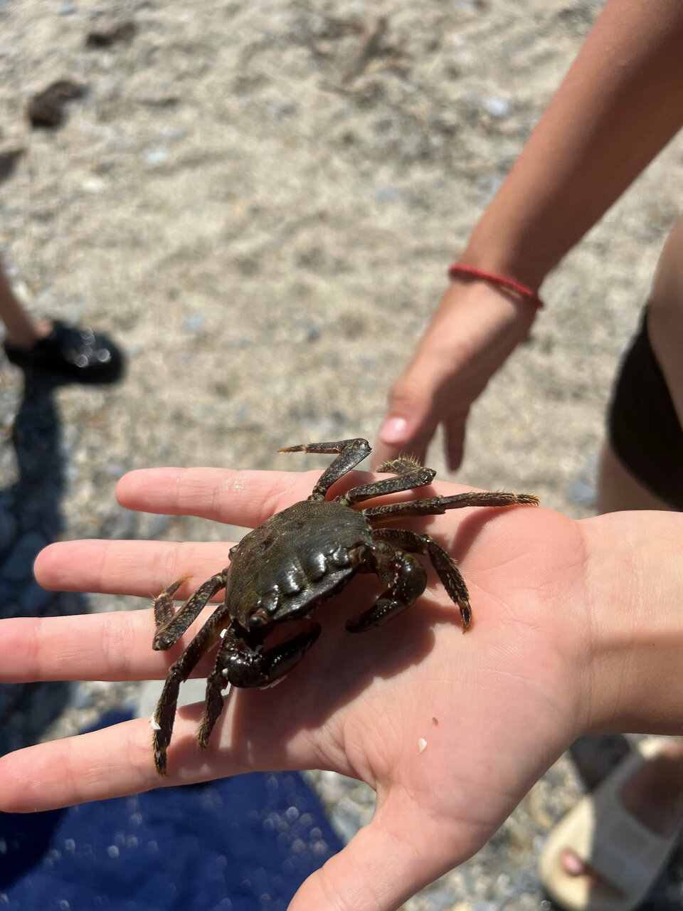 Гостевой дом Парус Головинка-49