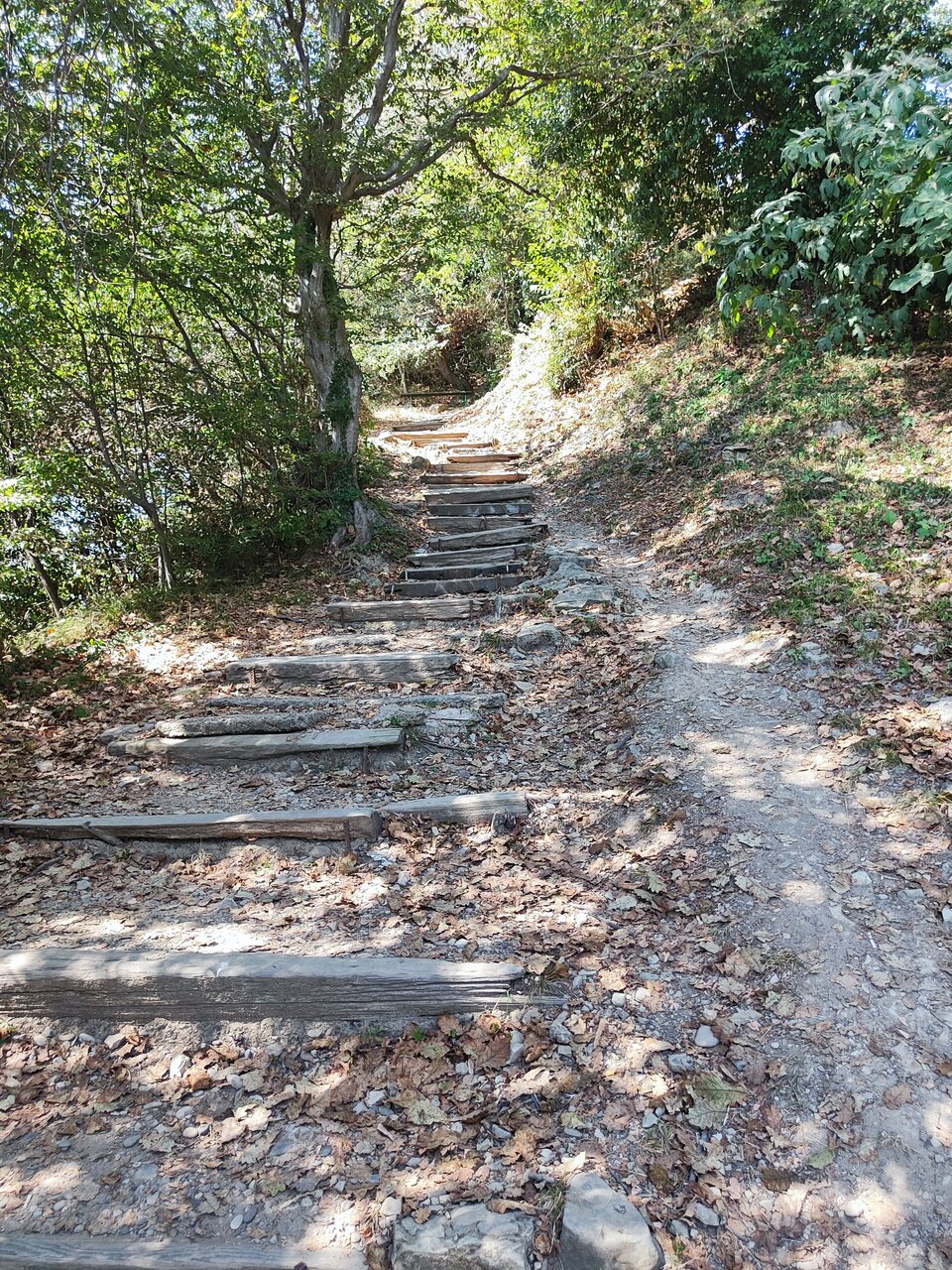 Гостевой дом Парус Головинка-47