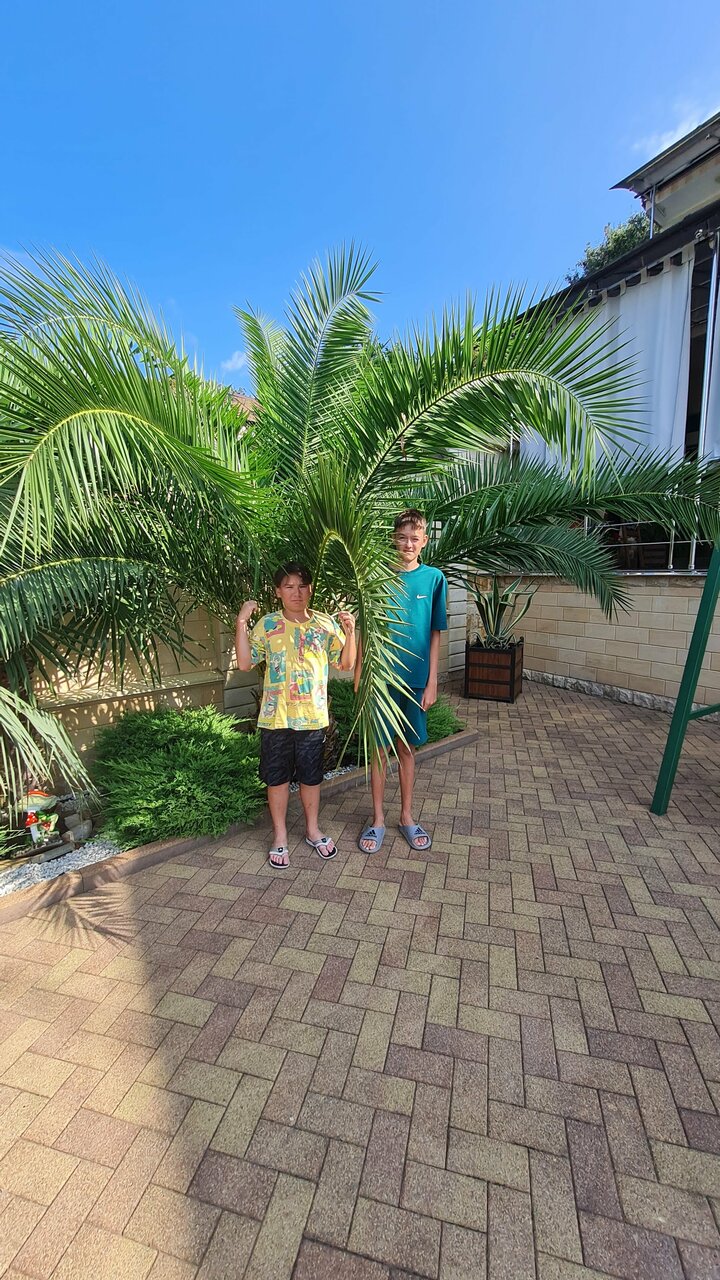 Гостевой дом Парус Головинка-121