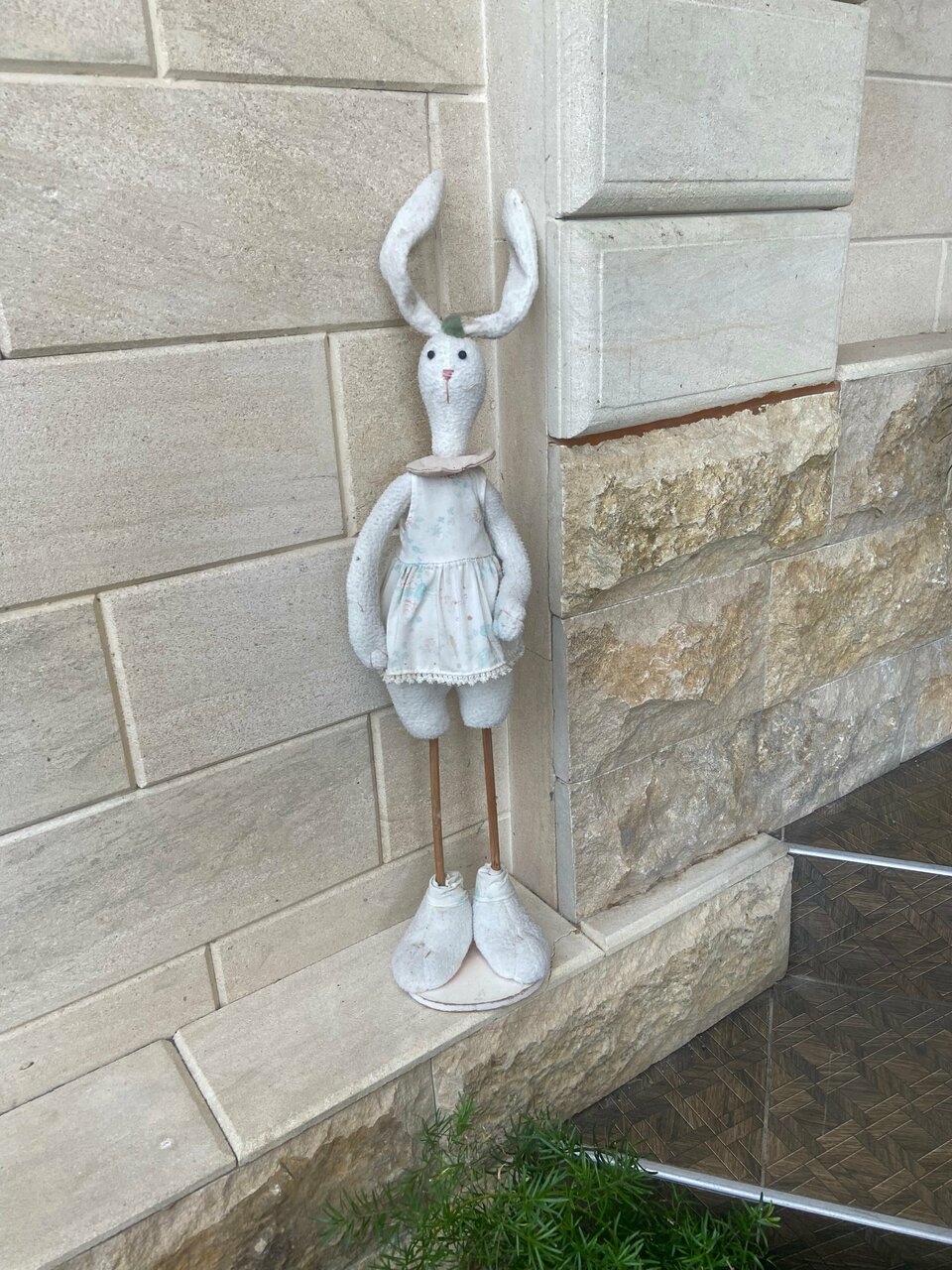 Гостевой дом Парус Головинка-80