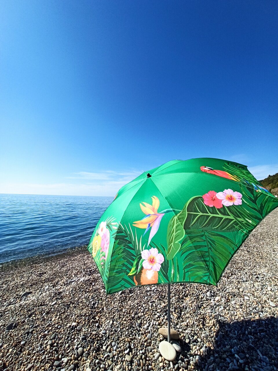 Гостевой дом Парус Головинка-53