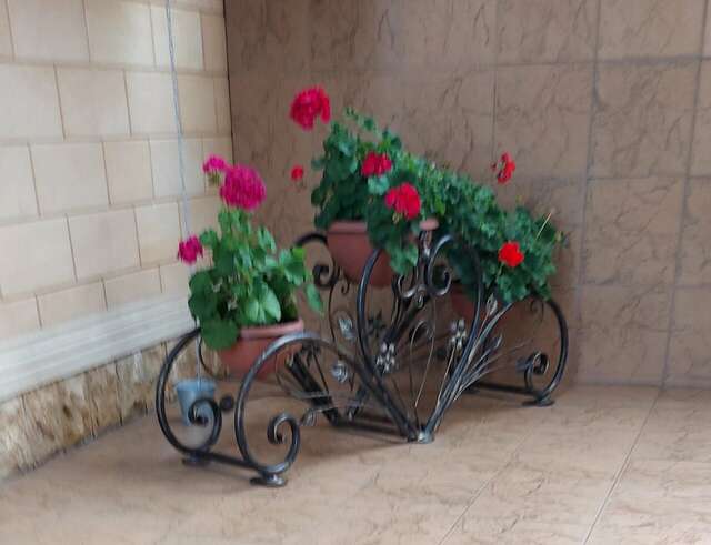 Гостевой дом Парус Головинка-31