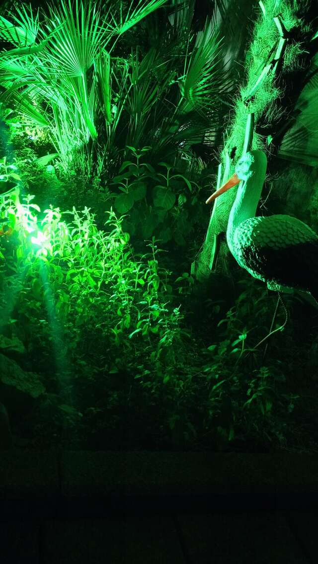 Гостевой дом Парус Головинка-39