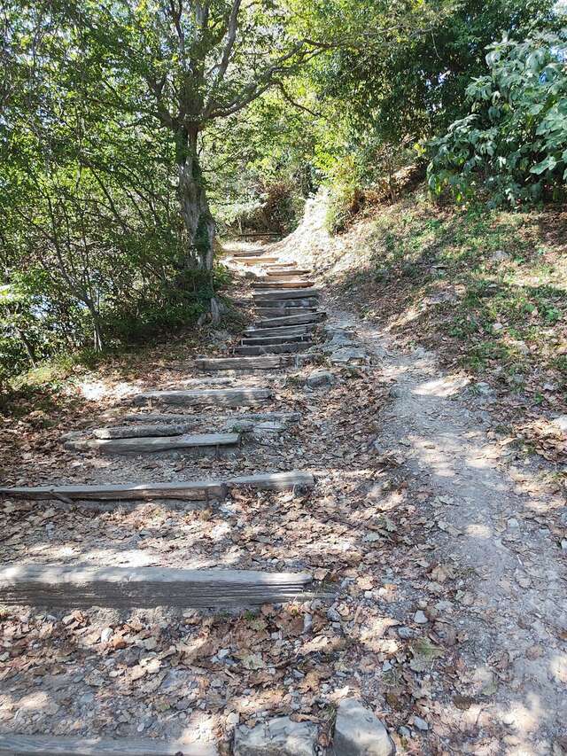 Гостевой дом Парус Головинка-46